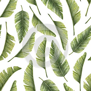 Watercolor seamless Pattern with exotic tropical Palm Leaves. Hand drawn illustration with green jungle plants. Summer