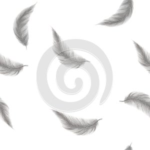 Watercolor seamless pattern feather