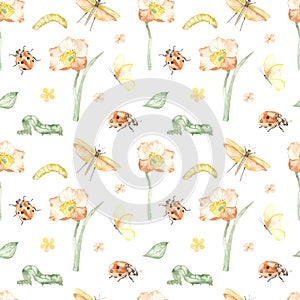 Watercolor seamless pattern with flower, insects, ladybug, caterpillars, butterfly, grasshopper on white background