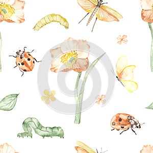 Watercolor seamless pattern with flower, insects, ladybug, caterpillars, butterfly, grasshopper on white background