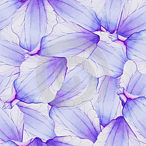 Watercolor Seamless pattern with flower petal