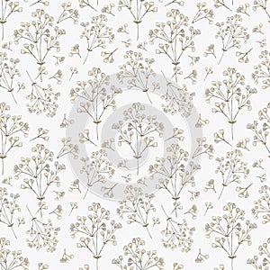 Watercolor seamless pattern of flowers baby`s breath on a white background.