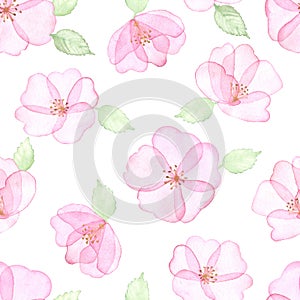 Watercolor seamless pattern with flowers, pink wild rose and green leaves, on a white background.