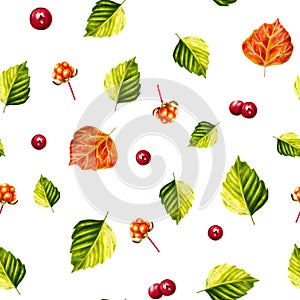 Watercolor seamless pattern with forest berries lingonberry, cranberry and cowberry, cloudberry illlustration. Juicy red