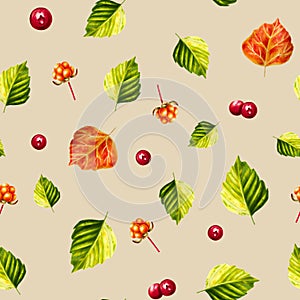 Watercolor seamless pattern with forest berries lingonberry, cranberry and cowberry, cloudberry illlustration. Juicy red