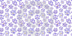 Watercolor seamless pattern with freesia flowers on white. Hand drawn color repeat backdrop, violet background