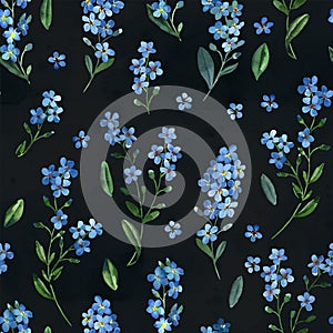 Watercolor seamless pattern of gentle blue flowers of forget-me-not with green leaves on dark background