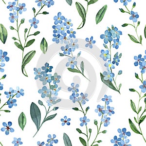 Watercolor seamless pattern of gentle blue flowers of forget-me-not with green leaves on white background