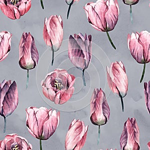 Watercolor seamless pattern,  gentle pink flowers of tulip on gray background