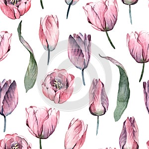 Watercolor seamless pattern,  gentle pink flowers of tulip with green leaves on white background