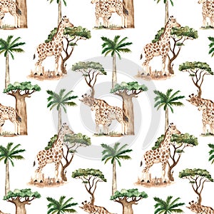 Watercolor seamless pattern with giraffe family, palm, acacia tree, baobab, savanna on white background