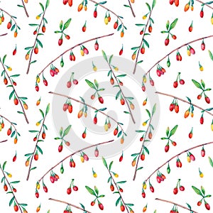 Watercolor seamless pattern with goji berries.