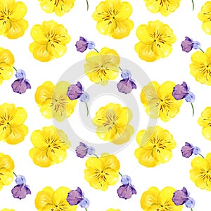 watercolor seamless pattern with hand drawn pansy flowers and buds, violet and yellow spring flowers, summer