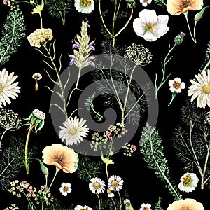 Watercolor seamless pattern of  hand drawn wildflowers