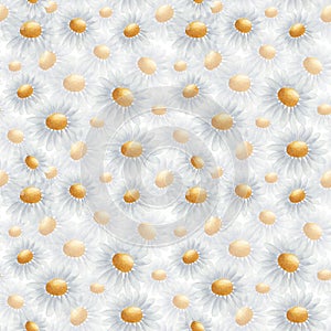 Watercolor seamless pattern from hand painted illustration of camomile flower, blue, yellow daisies in bloom. Floral nature print