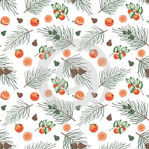Watercolor seamless pattern. Hand painted illustration of fir tree branch, pine, spruce with cones. Tropical citruis fruits
