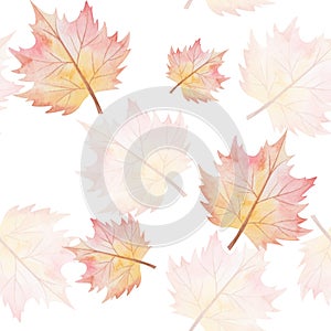 Watercolor seamless pattern from hand painted illustration of maple tree leaves in red, yellow colors isolated on white. Forest