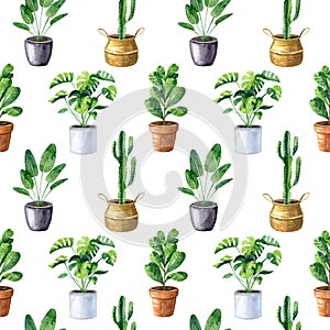 Watercolor seamless pattern with home plants in clay pots and straw basket