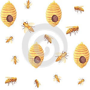 Watercolor seamless pattern. Honey Bees, beehive cocoon on white background. Hand painted. Illustration for design