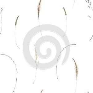 Watercolor seamless pattern with illustration of vintage spikelets and blades of grass isolated on a white background