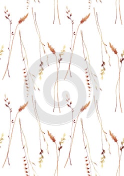 Watercolor seamless pattern with illustration of vintage spikelets and blades of grass isolated on a white background