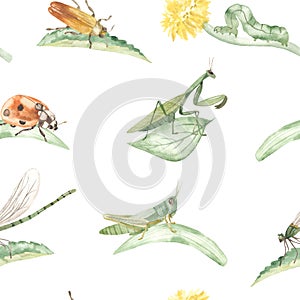 Watercolor seamless pattern with insects, praying mantis, grasshopper, beetle, ladybug, dragonfly on leaves and blades of grass on