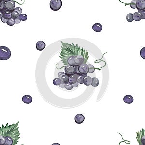 Watercolor seamless pattern with Isabella black grape berries on branches with leaves and grapes for textures and prints