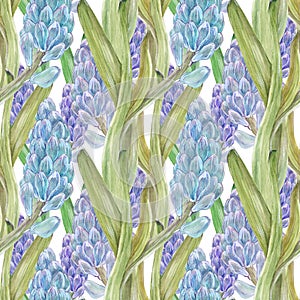 Watercolor seamless pattern with jacinth