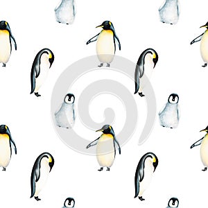 Watercolor seamless pattern with king penguin family isolated. Hand painting realistic Arctic and Antarctic ocean