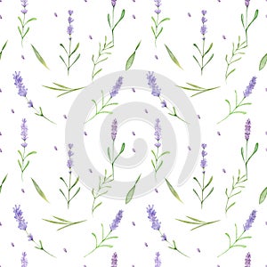 Watercolor seamless pattern Lavender Arrangement Clipart hand drawn