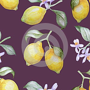 Watercolor seamless pattern of lemons and blossom branches