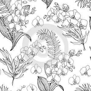 Watercolor seamless pattern with line art orchids and eucalyptus. Hand painted tropical card with flowers and leaves