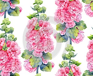 Watercolor seamless pattern with lush pink mallow flowers