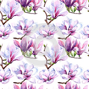 Watercolor seamless pattern of magnolia flowers. Magnolia spring bloom