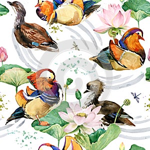 Watercolor seamless pattern Mandarin duck in the blossom lotus flowers. floral pretty design.