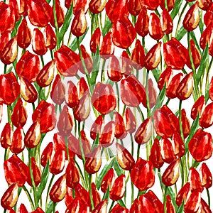 Acquerello senza soluzione di continuità modello dipinto tulipani 