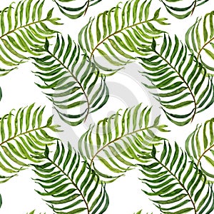 Watercolor seamless pattern with palm leaves. Exotic tropical green foliage on white background. Modern botanical print