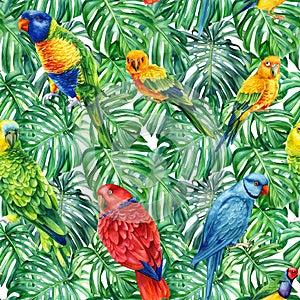 Watercolor seamless pattern with parrots. Tropical birds and jungle palm leaves. Hand painted Floral design