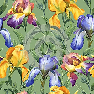 Watercolor seamless pattern with purple, yellow and blue iris flower and green leaves