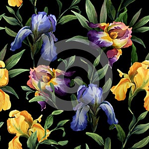 Watercolor seamless pattern with purple, yellow and blue iris flower and green leaves