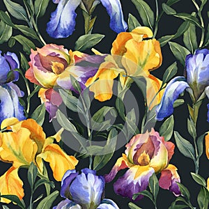 Watercolor seamless pattern with purple, yellow and blue iris flower and green leaves