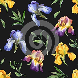 Watercolor seamless pattern with purple, yellow and blue iris flower and green leaves