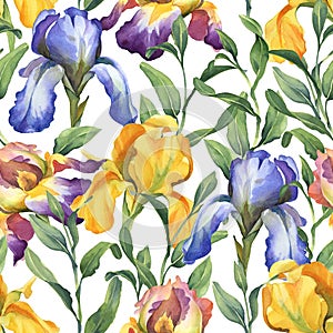 Watercolor seamless pattern with purple, yellow and blue iris flower and green leaves