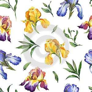 Watercolor seamless pattern with purple, yellow and blue iris flower and green leaves