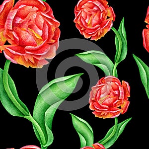 Watercolor seamless pattern with red roses and leaves. Hand painted flowers on black background. Floral texture for