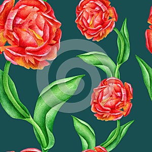 Watercolor seamless pattern with red roses and leaves. Hand painted flowers on dark blue background. Floral texture for