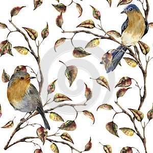 Watercolor seamless pattern with robin sitting on tree branch. Autumn illustration with birds and fall leaves isolated