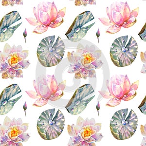 Watercolor Seamless Pattern with Romantic Flying dragonflies, butterflies, flowers and leaves of water lily on white
