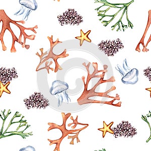 Watercolor seamless pattern of sea plants and starfish isolated on white. Seaweeds and coral hand drawn. Painted