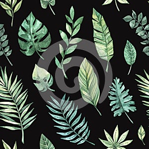 Watercolor seamless pattern. Summer tropical background. Tropical palm leaves monstera, areca, fan, banana. Perfect for